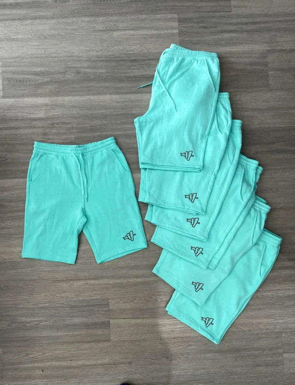 Star H Fleece Shorts (Mint Green)