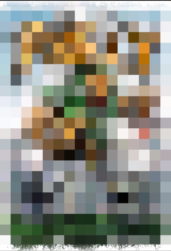 Eagles Blurred Out Hoodie